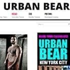 L'orso urbano