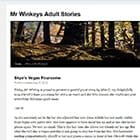 Les histoires pour adultes de M. Winkey