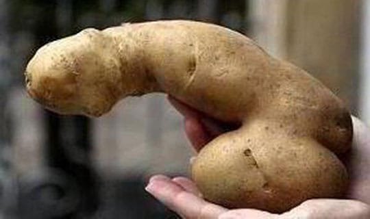 Kartoffel-Reaktion