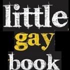 Pequeño libro gay