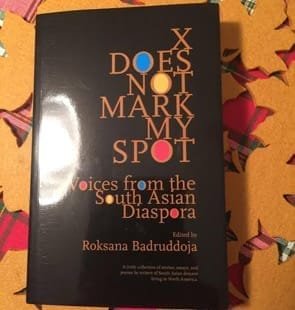 Badruddoja'nın kitabı, Güney Asyalı-Amerikalı kadınlara ve onların Amerikan kültürü tarafından nasıl inşa edildiğine bakıyor.