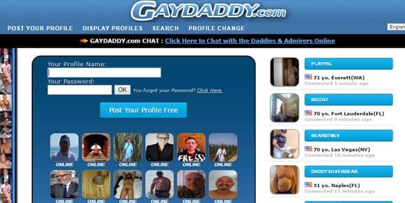 Captura de pantalla de la página de inicio de GayDaddy