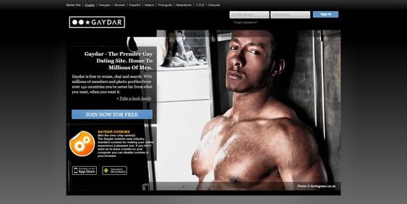 Screenshot der Gaydar-Homepage