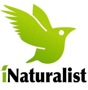 iNaturalist logosunun fotoğrafı