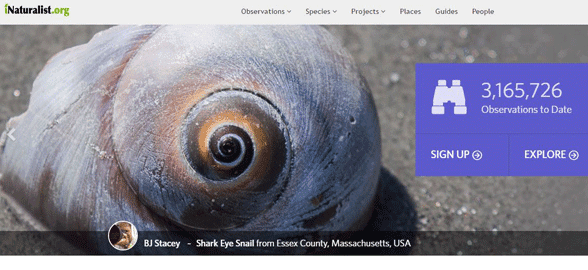 iNaturalist'in ana sayfasının ekran görüntüsü