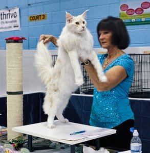Fotografie soudce TICA držícího kočku