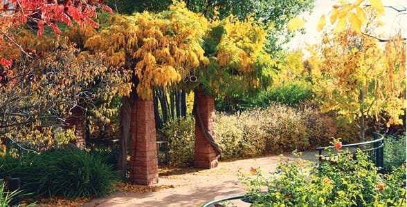 Zdjęcie ogrodu Red Butte jesienią