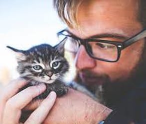 Photo d'un mec tenant un chaton