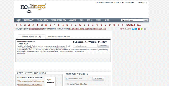 Capture d'écran de la page d'accueil de NetLingo