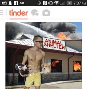 Foto van Reid die honden uit een brandend dierenasiel draagt
