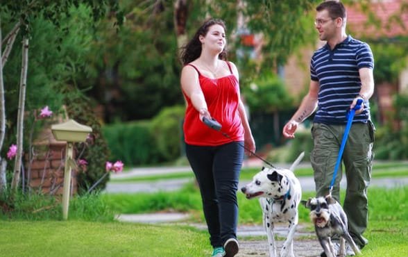 Foto von einem Paar, das mit seinen Hunden spazieren geht