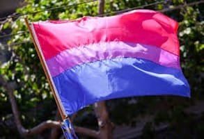 Foto de la bandera del orgullo bisexual