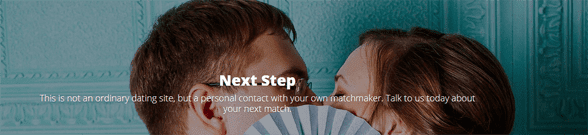 Screenshot von der Perfect Partners Next Step-Seite