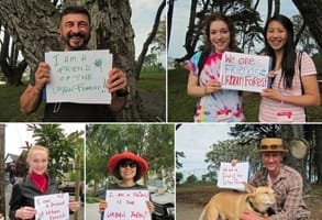 Kent Ormanı Gönüllülerinin Dostlarının Fotoğrafları