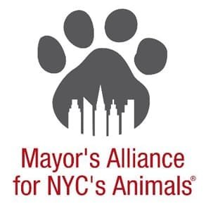 Belediye Başkanının NYC Hayvanları İttifakı logosunun fotoğrafı