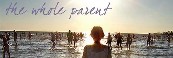 Photo du site Web Whole Parent Book
