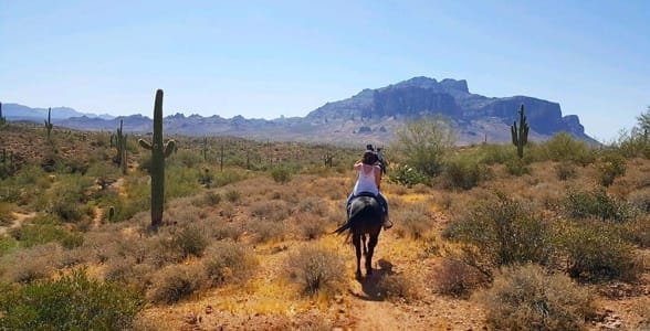 Mesa, Arizona'da binicilik fotoğrafı