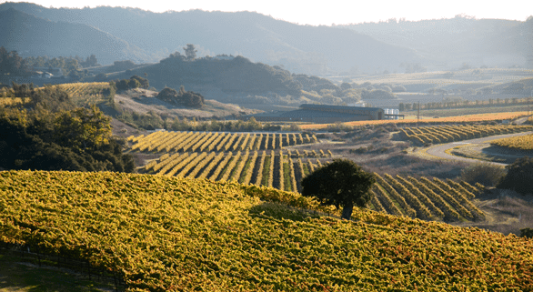 Foto de la región vinícola de San Luis Obispo