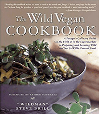 Zdjęcie książki kucharskiej Wild Vegan