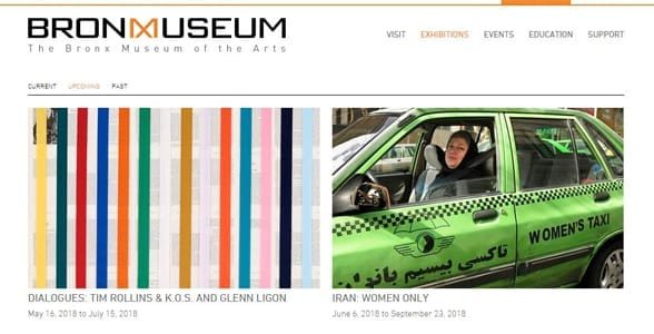 Screenshot della pagina della mostra del Bronx Museum
