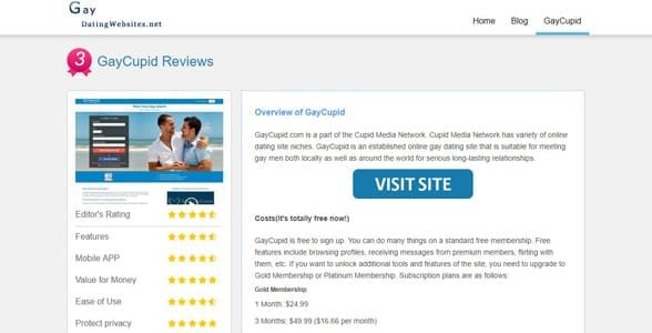 Zrzut ekranu pełnej recenzji na GayDatingWebsites.net