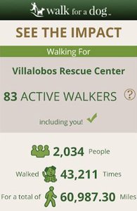 Screenshot dell'app Walk for a Dog