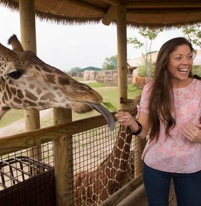 Foto de una niña alimentando a una jirafa