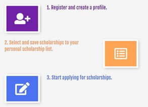 Screenshot van het TFS Scholarships-proces