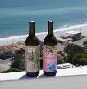 Rebel Coast şaraplarının fotoğrafı